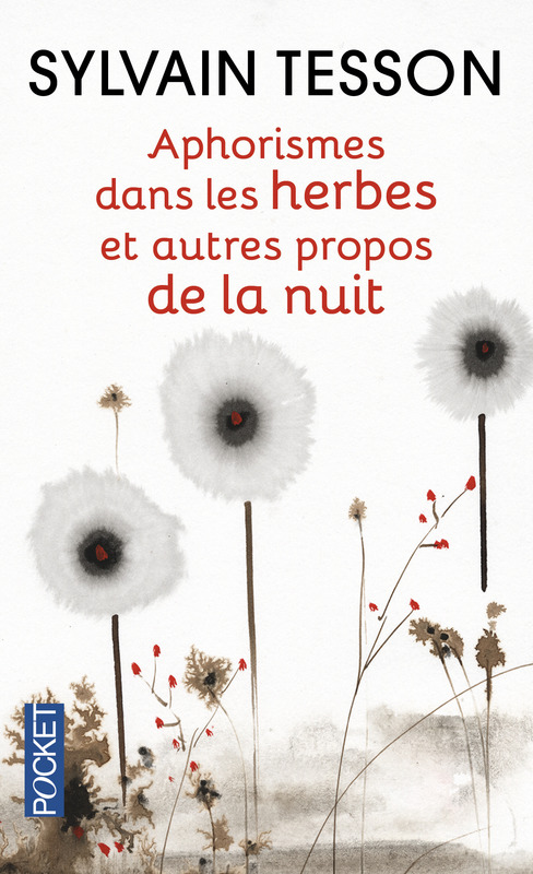 Illustration, Sylvain Tesson, Aphorismes dans les herbes, Univers Poche.